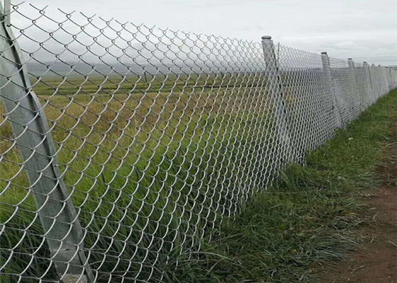 El Pvc revestido de Mesh Fencing 60*60m m del ciclón del cinc cubrió a Diamond Mesh