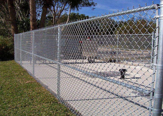 El Pvc revestido de Mesh Fencing 60*60m m del ciclón del cinc cubrió a Diamond Mesh