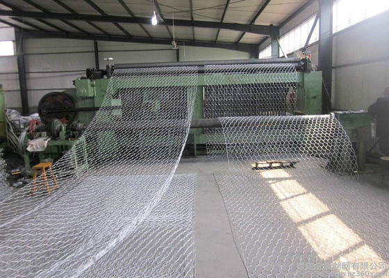 El PVC galvanizado de la inmersión caliente cubrió el alambre Mesh For Rock Walls de Gabion