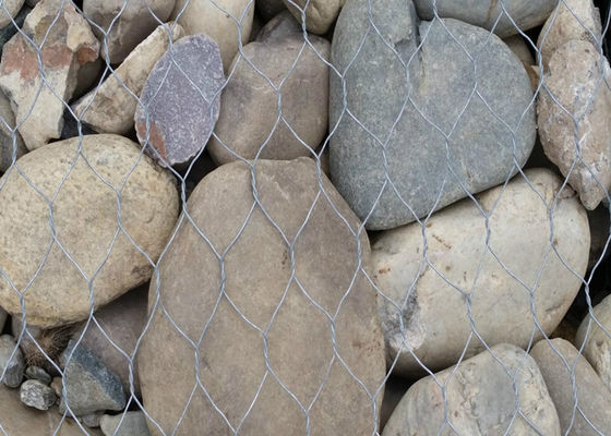 El PVC galvanizado de la inmersión caliente cubrió el alambre Mesh For Rock Walls de Gabion