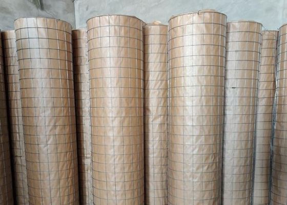 los 6X6cm 304 galvanizaron el alambre soldado con autógena Mesh Fence For Animal Enclosure