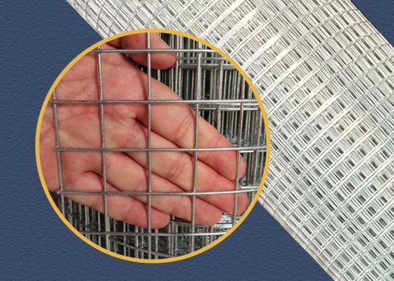 Inmersión caliente soldada con autógena patio de escuela de Mesh Fence 5X5m m del alambre del OEM que galvaniza