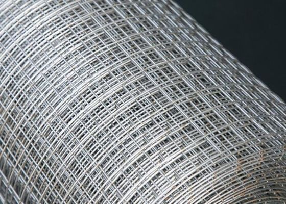 Alambre de calibre soldado con autógena de acero inoxidable 12 Mesh Fencing de Mesh Fence Panels 3.8m m del alambre